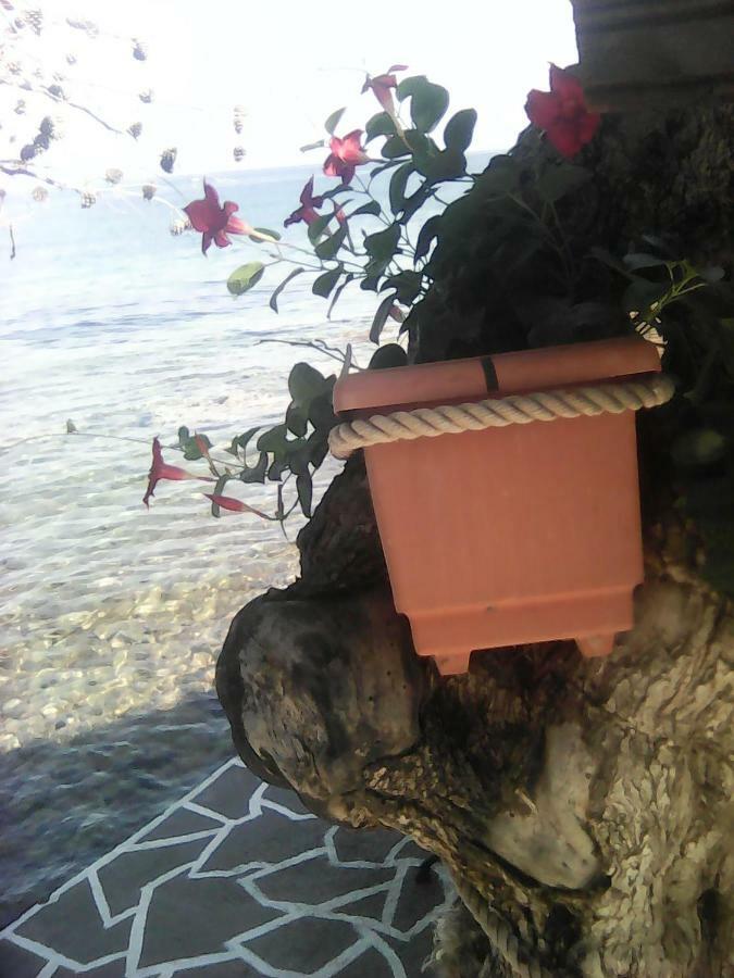 Agyrovoli Bungalow Skála Kallirákhis المظهر الخارجي الصورة